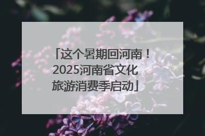 这个暑期回河南！2025河南省文化旅游消费季启动
