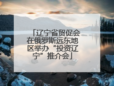辽宁省贸促会在俄罗斯远东地区举办“投资辽宁”推介会