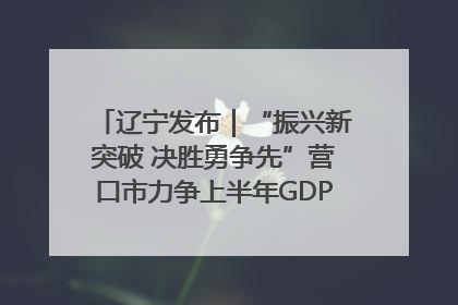 辽宁发布｜“振兴新突破 决胜勇争先”营口市力争上半年GDP增长6%左右