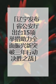 辽宁发布｜省公安厅出台15项举措助力全面振兴新突破三年行动决胜之战