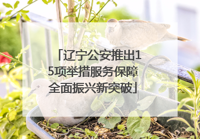 辽宁公安推出15项举措服务保障全面振兴新突破