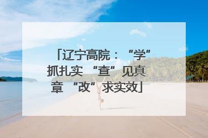 辽宁高院：“学”抓扎实 “查”见真章 “改”求实效