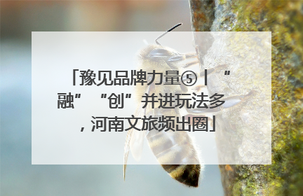 豫见品牌力量⑤丨“融”“创”并进玩法多，河南文旅频出圈