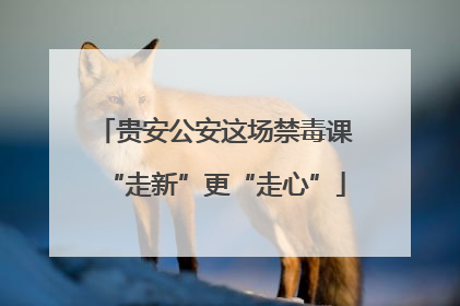 贵安公安这场禁毒课“走新”更“走心”