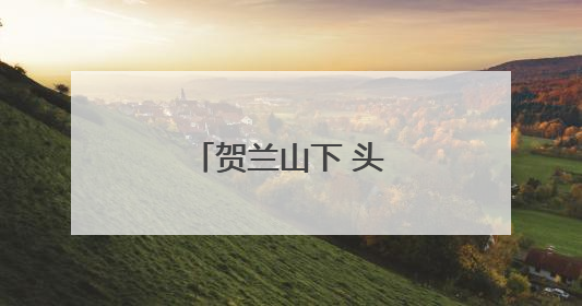 贺兰山下 头茬枸杞迎丰收