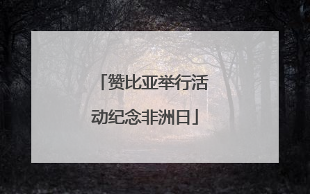 赞比亚举行活动纪念非洲日