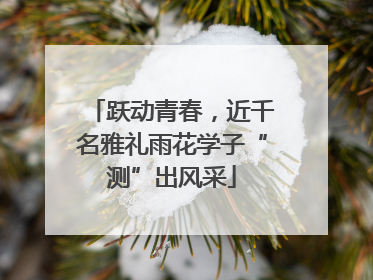 跃动青春，近千名雅礼雨花学子“测”出风采
