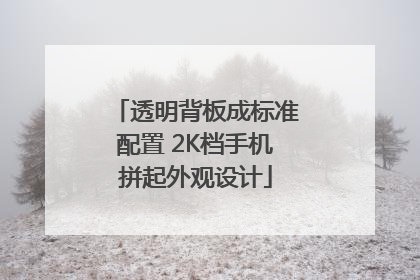 透明背板成标准配置 2K档手机拼起外观设计