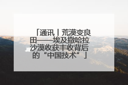 通讯丨荒漠变良田——埃及撒哈拉沙漠收获丰收背后的“中国技术”