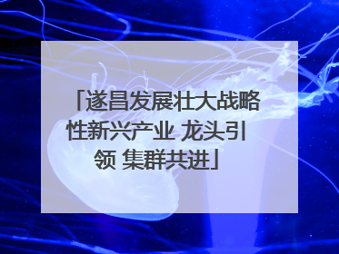 遂昌发展壮大战略性新兴产业 龙头引领 集群共进
