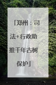 郑州：司法+行政助推千年古树保护