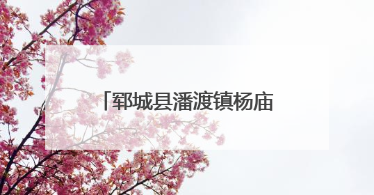 郓城县潘渡镇杨庙村：草藤编织“编”出乡村振兴新图景