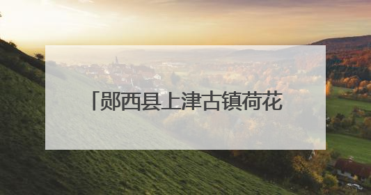 郧西县上津古镇荷花初绽邂逅夏日浪漫