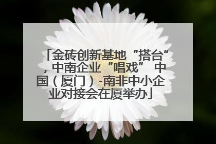金砖创新基地“搭台”，中南企业“唱戏” 中国（厦门）-南非中小企业对接会在厦举办