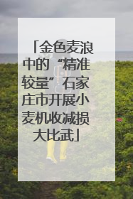 金色麦浪中的“精准较量”石家庄市开展小麦机收减损大比武