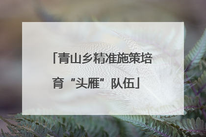 青山乡精准施策培育“头雁”队伍