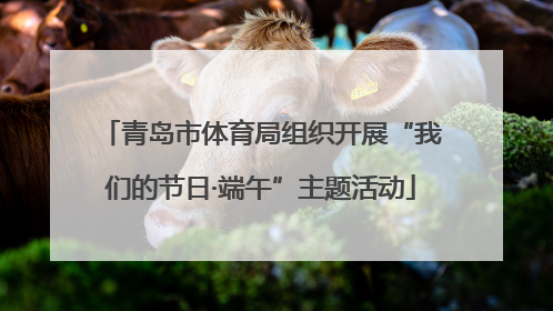 青岛市体育局组织开展“我们的节日·端午”主题活动