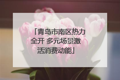 青岛市南区热力全开 多元场景激活消费动能