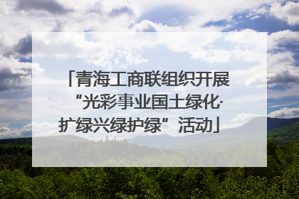 青海工商联组织开展“光彩事业国土绿化·扩绿兴绿护绿”活动
