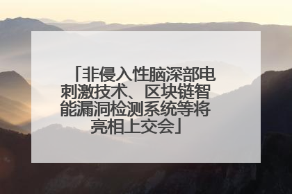 非侵入性脑深部电刺激技术、区块链智能漏洞检测系统等将亮相上交会