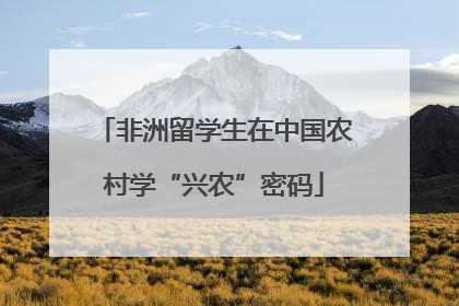 非洲留学生在中国农村学“兴农”密码