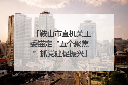 鞍山市直机关工委锚定“五个聚焦”抓党建促振兴