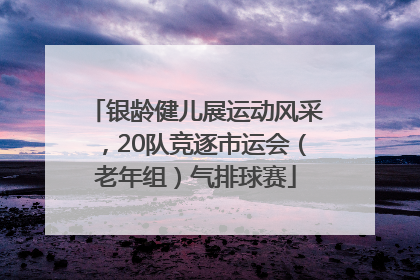银龄健儿展运动风采，20队竞逐市运会（老年组）气排球赛