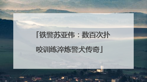铁警苏亚伟：数百次扑咬训练淬炼警犬传奇