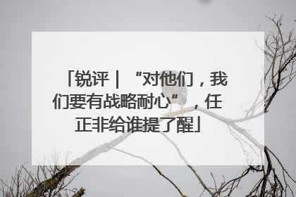 锐评｜“对他们，我们要有战略耐心”，任正非给谁提了醒
