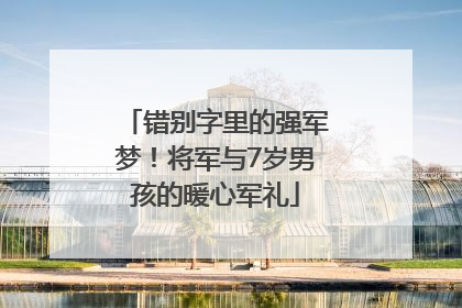 错别字里的强军梦！将军与7岁男孩的暖心军礼