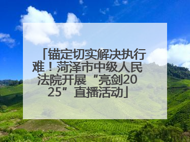 锚定切实解决执行难！菏泽市中级人民法院开展“亮剑2025”直播活动