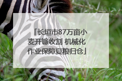 长垣市87万亩小麦开镰收割 机械化作业保障夏粮归仓