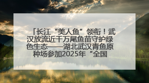 长江“美人鱼”领衔！武汉放流近千万尾鱼苗守护绿色生态——湖北武汉青鱼原种场参加2025年“全国放鱼日”增殖放流活动