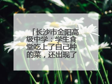 长沙市金阳高级中学：学生食堂吃上了自己种的菜，还出现了一批劳动能手