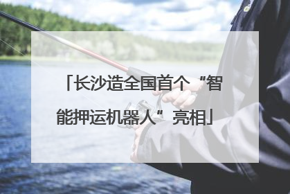 长沙造全国首个“智能押运机器人”亮相