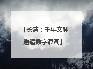 长清：千年文脉邂逅数字浪潮