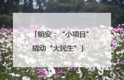 镇安：“小项目”撬动“大民生”