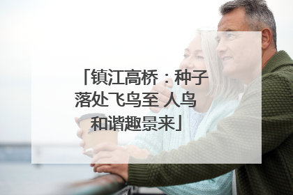 镇江高桥：种子落处飞鸟至 人鸟和谐趣景来