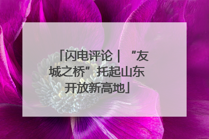 闪电评论｜“友城之桥”托起山东开放新高地