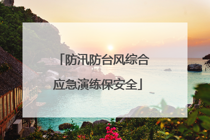 防汛防台风综合应急演练保安全