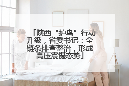 陕西“护鸟”行动升级，省委书记：全链条排查整治，形成高压震慑态势
