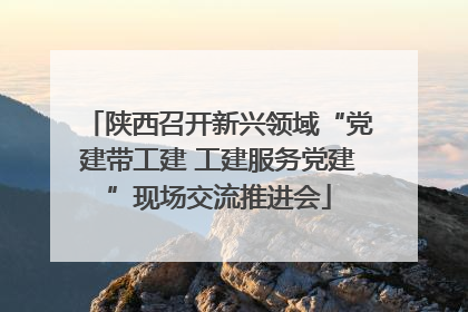 陕西召开新兴领域“党建带工建 工建服务党建”现场交流推进会