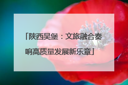 陕西吴堡：文旅融合奏响高质量发展新乐章