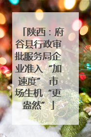 陕西：府谷县行政审批服务局企业准入“加速度” 市场生机“更盎然”