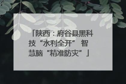 陕西：府谷县黑科技“水利全开” 智慧脑“精准防灾”
