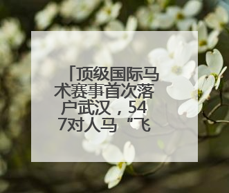 顶级国际马术赛事首次落户武汉，547对人马“飞跃”英雄城