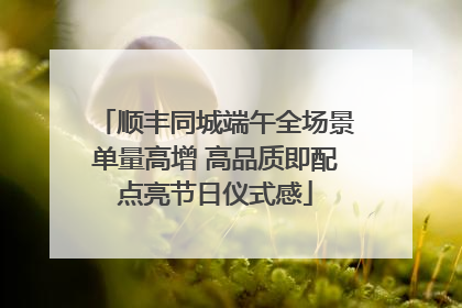 顺丰同城端午全场景单量高增 高品质即配点亮节日仪式感