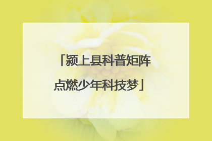 颍上县科普矩阵点燃少年科技梦