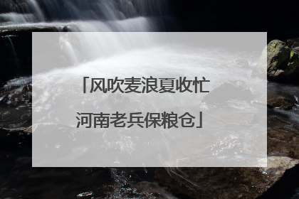风吹麦浪夏收忙 河南老兵保粮仓