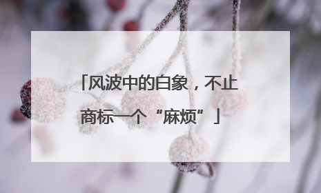 风波中的白象，不止商标一个“麻烦”